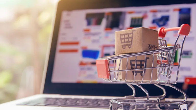 carro de compras en linea